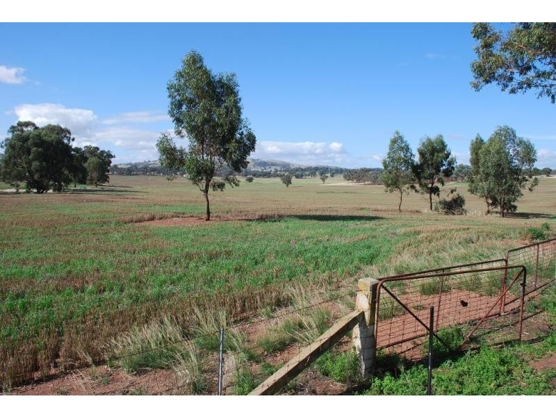 255 Midland Deviation Road, Cosgrove South VIC 3631