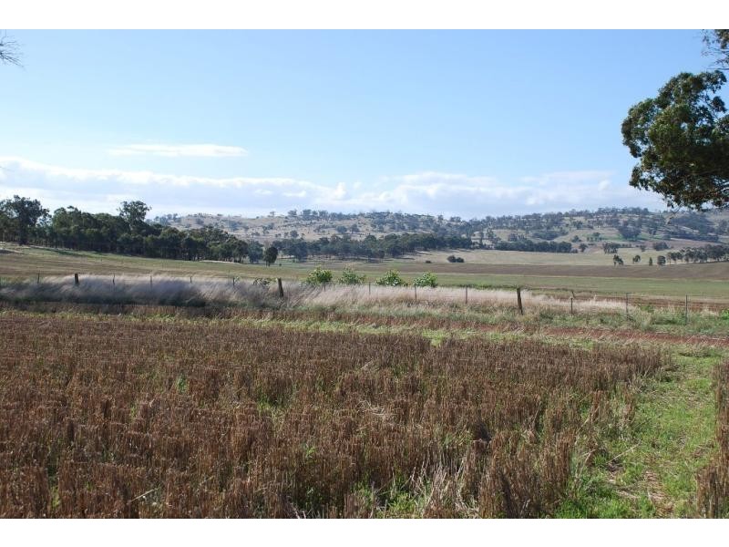 255 Midland Deviation Road, Cosgrove South VIC 3631