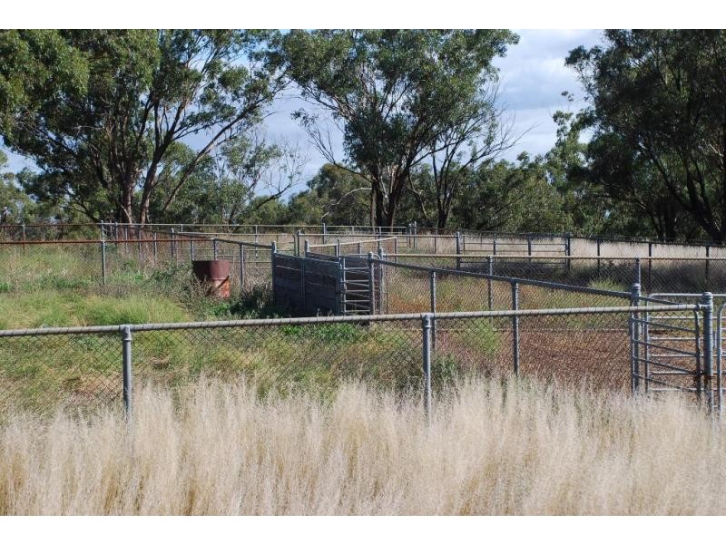 255 Midland Deviation Road, Cosgrove South VIC 3631