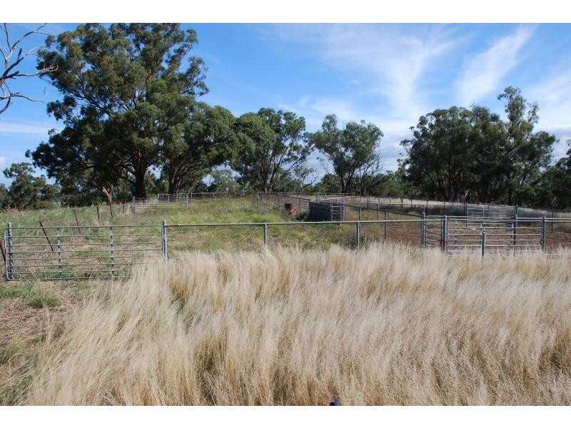 255 Midland Deviation Road, Cosgrove South VIC 3631