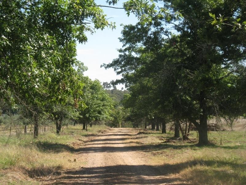 2527 Glenrowan-Myrtleford Road, Markwood VIC 3678