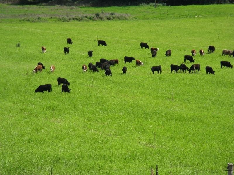 2527 Glenrowan-Myrtleford Road, Markwood VIC 3678