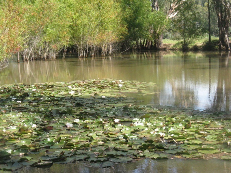 2527 Glenrowan-Myrtleford Road, Markwood VIC 3678