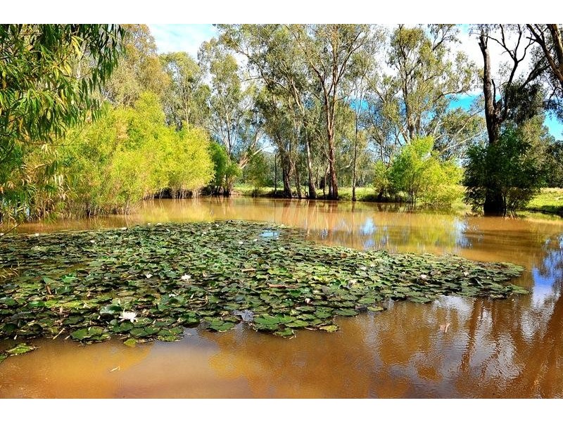 2527 Glenrowan-Myrtleford Road, Markwood VIC 3678