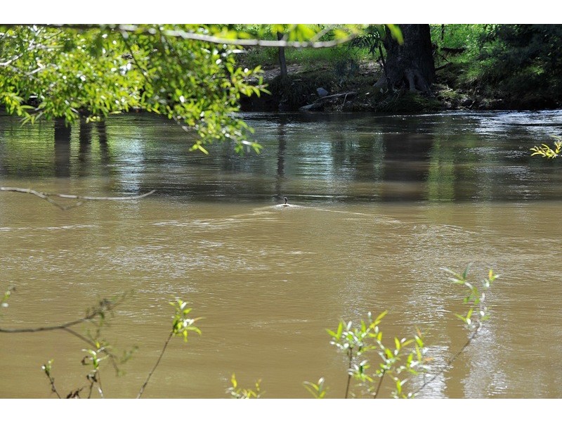 2527 Glenrowan-Myrtleford Road, Markwood VIC 3678