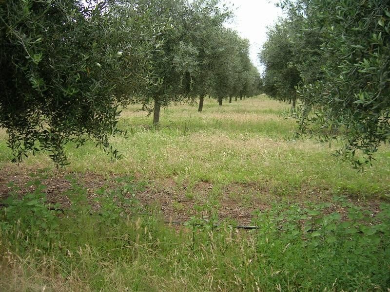 3550 Wangaratta-Yarrawonga Road, Bundalong VIC 3730