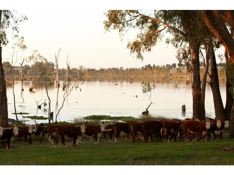 21 Lobbs Lane, Nagambie VIC 3608