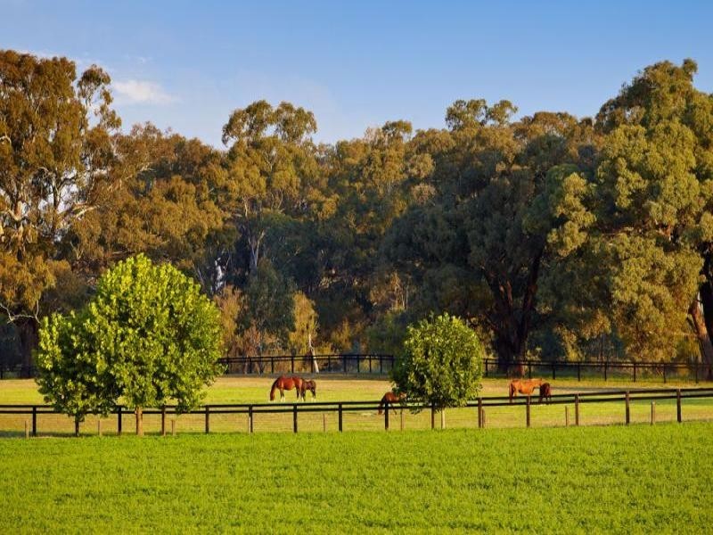 21 Lobbs Lane, Nagambie VIC 3608