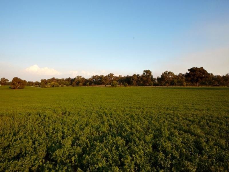 21 Lobbs Lane, Nagambie VIC 3608