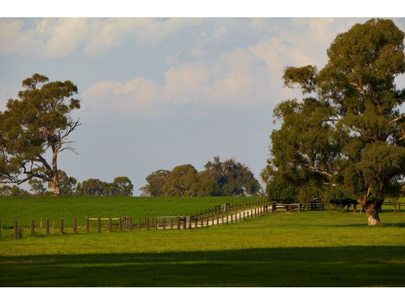 21 Lobbs Lane, Nagambie VIC 3608