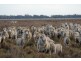 - Deniliquin-Barham Road, Deniliquin NSW 2710