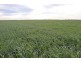 - Deniliquin-Barham Road, Deniliquin NSW 2710