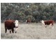 - Deniliquin-Barham Road, Deniliquin NSW 2710