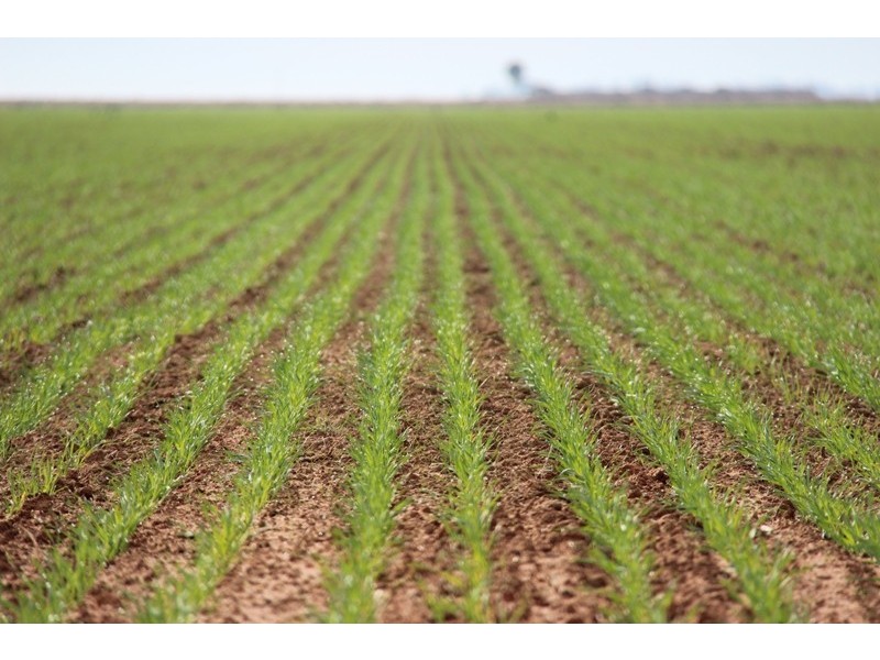 - Deniliquin-Barham Road, Deniliquin NSW 2710