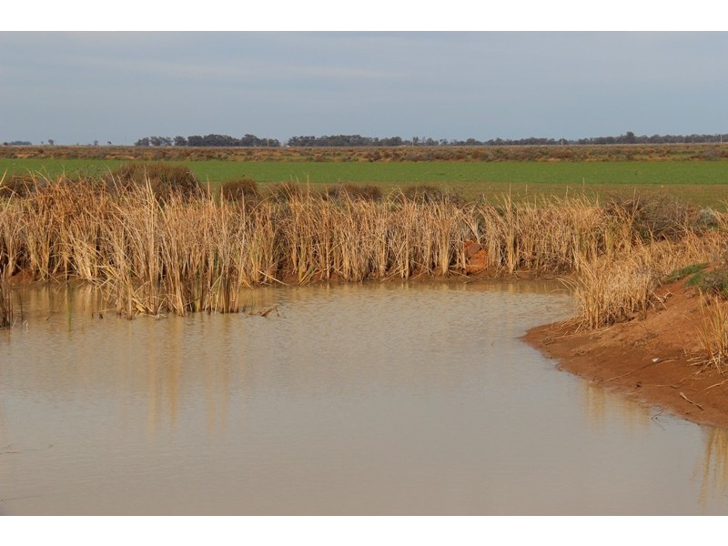 - Deniliquin-Barham Road, Deniliquin NSW 2710