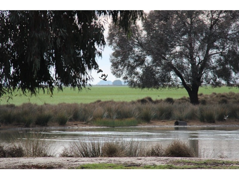 - Deniliquin-Barham Road, Deniliquin NSW 2710