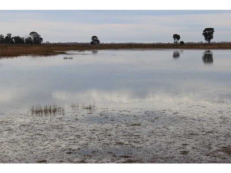 - Deniliquin-Barham Road, Deniliquin NSW 2710