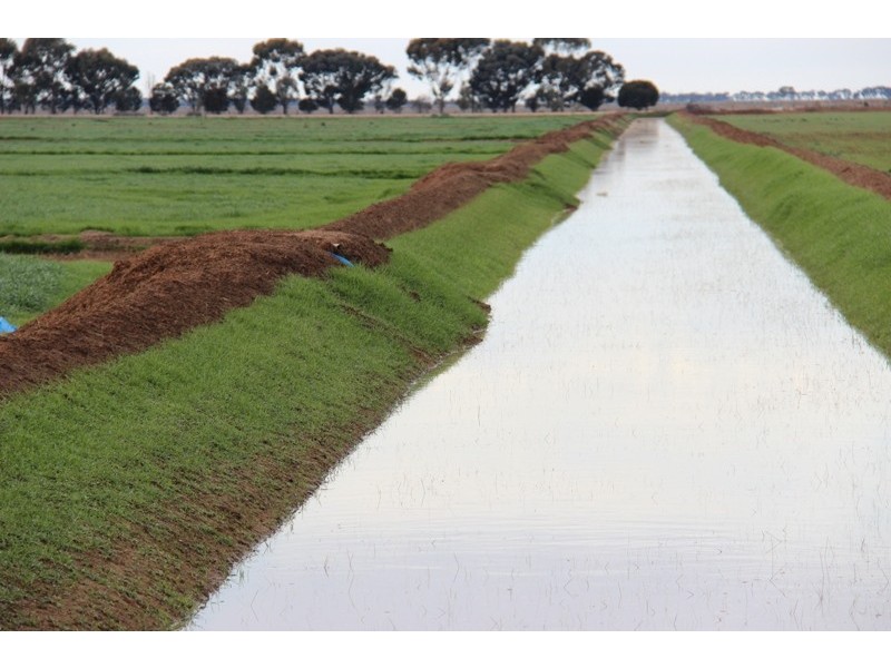 - Deniliquin-Barham Road, Deniliquin NSW 2710