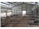 - Deniliquin-Barham Road, Deniliquin NSW 2710