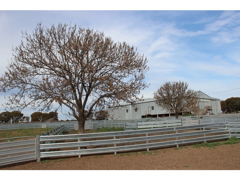 - Deniliquin-Barham Road, Deniliquin NSW 2710