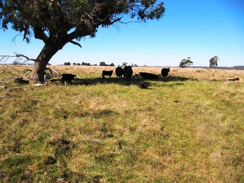 - Old Calder Highway, Malmsbury VIC 3446