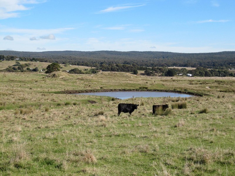 - Old Calder Highway, Malmsbury VIC 3446