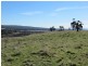 - Old Calder Highway, Malmsbury VIC 3446