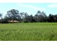 - Line Rd, Moama NSW 2731