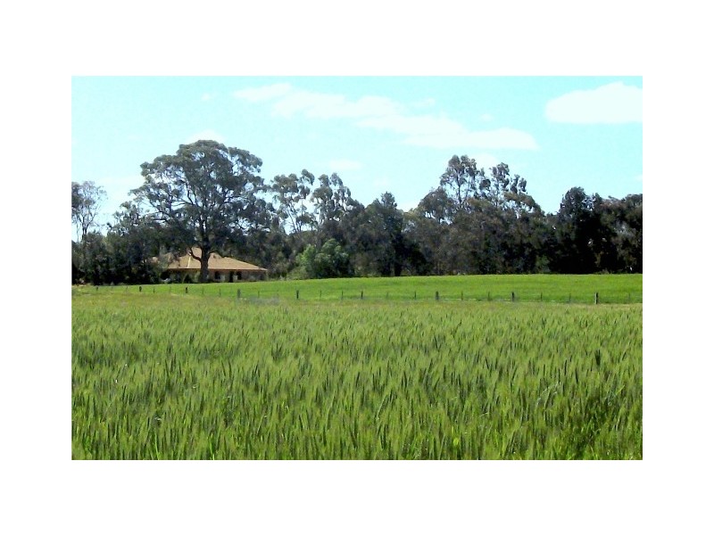 - Line Rd, Moama NSW 2731