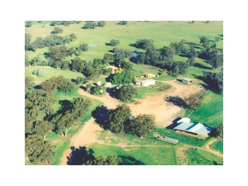 - Line Rd, Moama NSW 2731