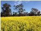 - Line Rd, Moama NSW 2731