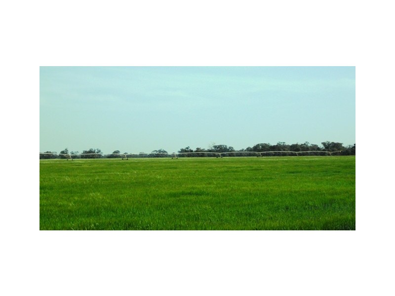 - Line Rd, Moama NSW 2731