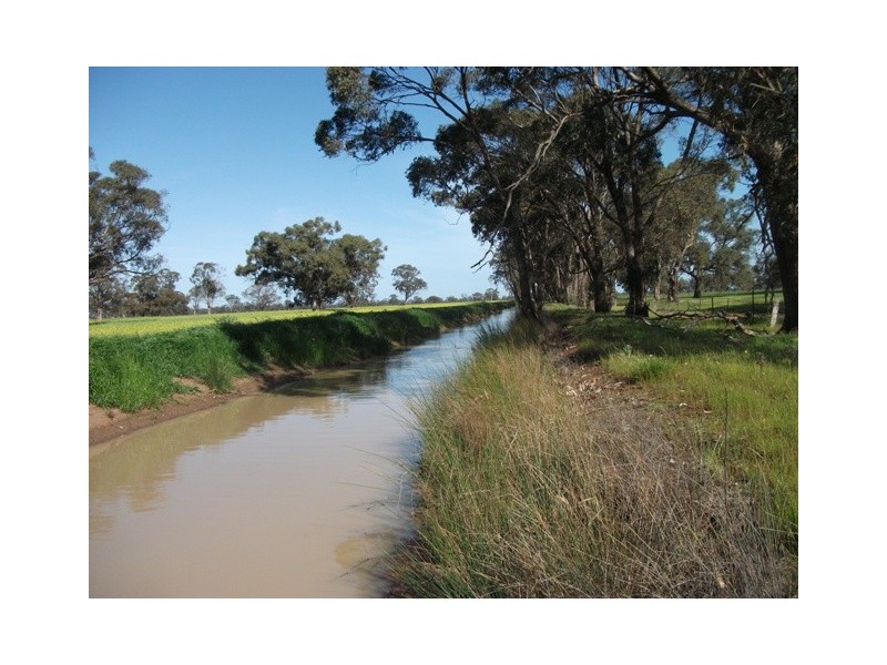 - Line Rd, Moama NSW 2731