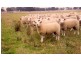 - Line Rd, Moama NSW 2731