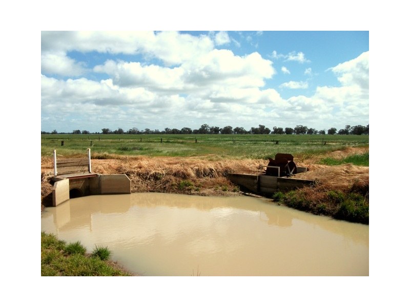 - Line Rd, Moama NSW 2731