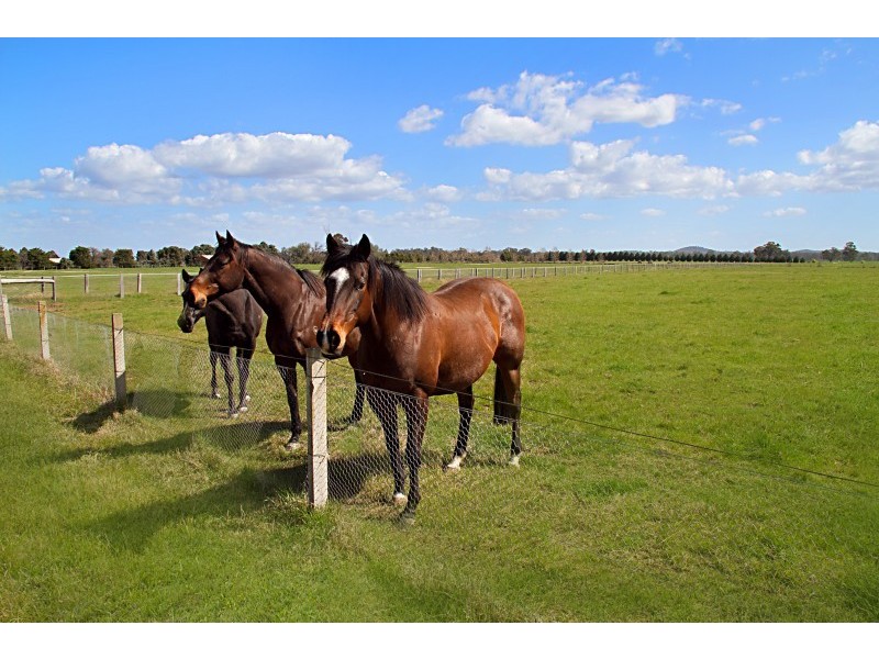 9 Grimwade Road, Nagambie VIC 3608