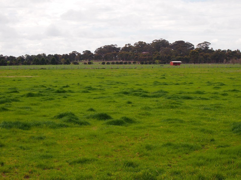 9 Grimwade Road, Nagambie VIC 3608