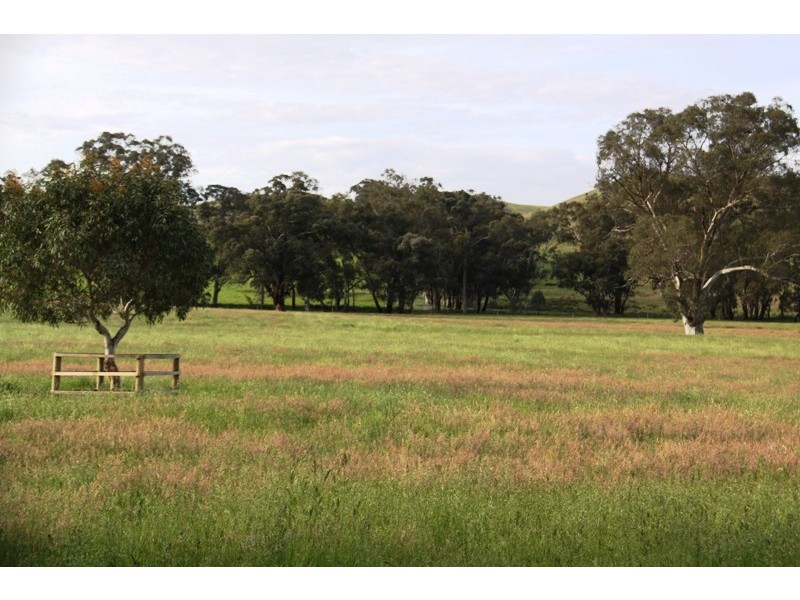 263 U.T Creek Road, Alexandra VIC 3714