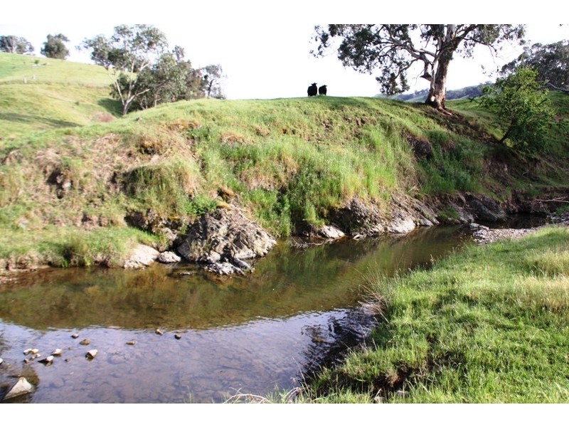 263 U.T Creek Road, Alexandra VIC 3714