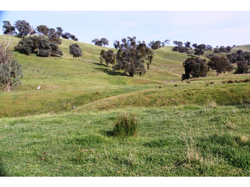 263 U.T Creek Road, Alexandra VIC 3714