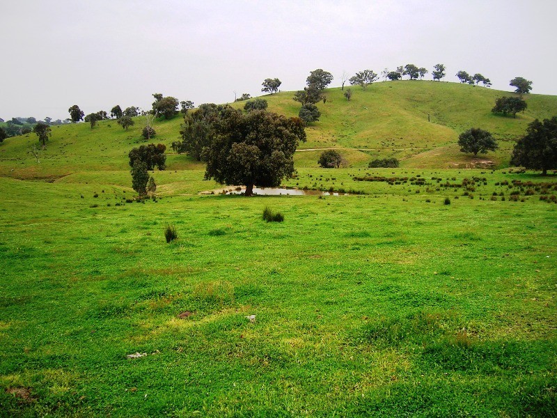 263 U.T Creek Road, Alexandra VIC 3714