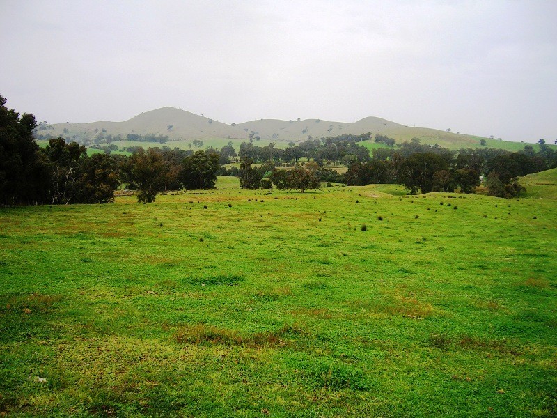 263 U.T Creek Road, Alexandra VIC 3714