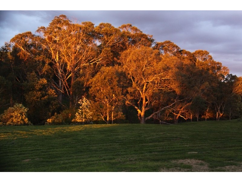 263 U.T Creek Road, Alexandra VIC 3714