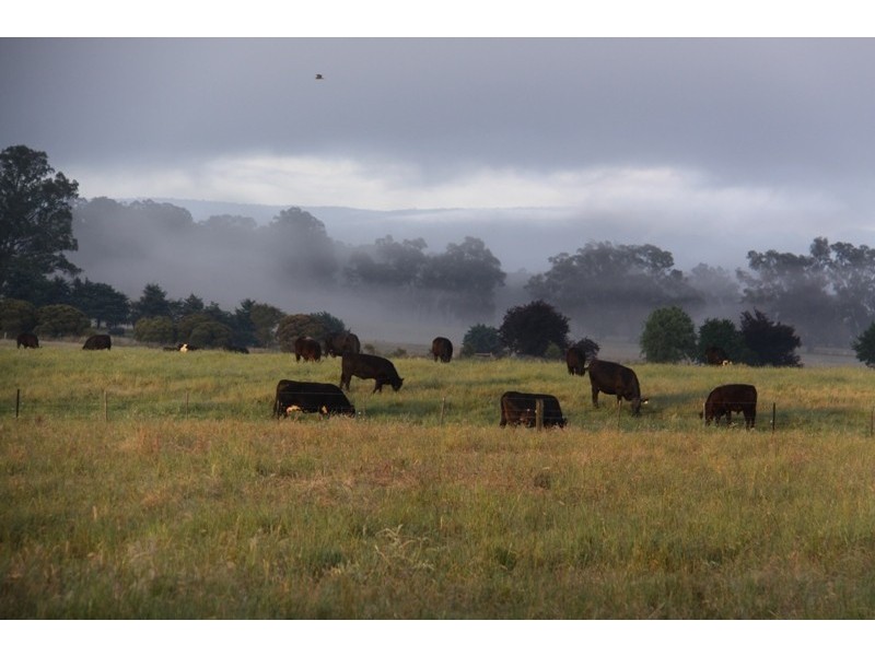 263 U.T Creek Road, Alexandra VIC 3714