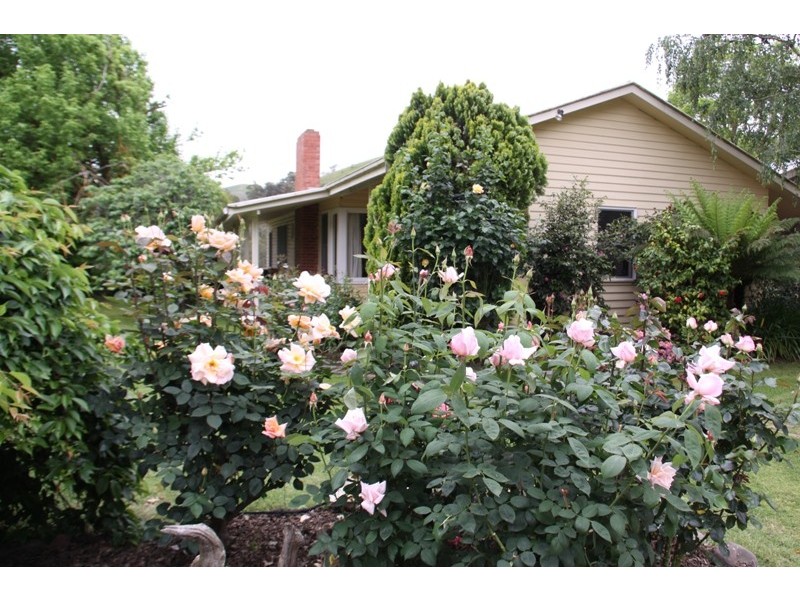 263 U.T Creek Road, Alexandra VIC 3714