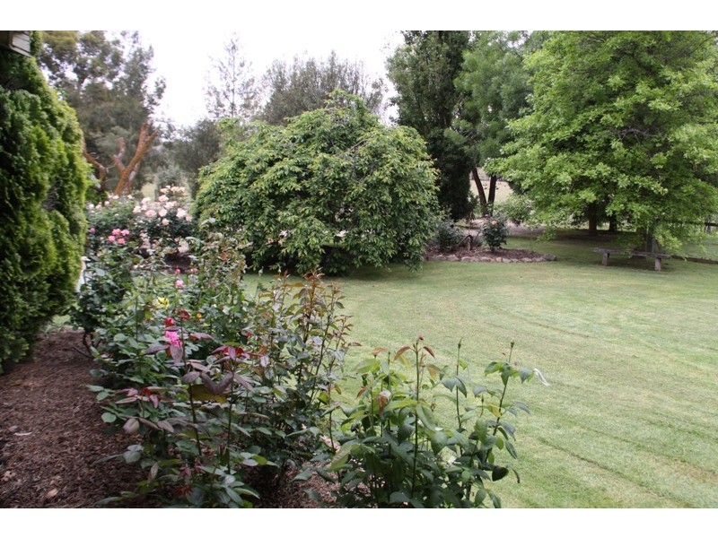 263 U.T Creek Road, Alexandra VIC 3714