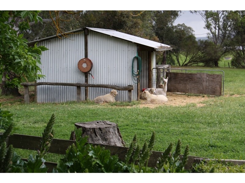 263 U.T Creek Road, Alexandra VIC 3714