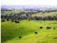 276 Kanumbra – Gobur Rd, Yarck VIC 3719