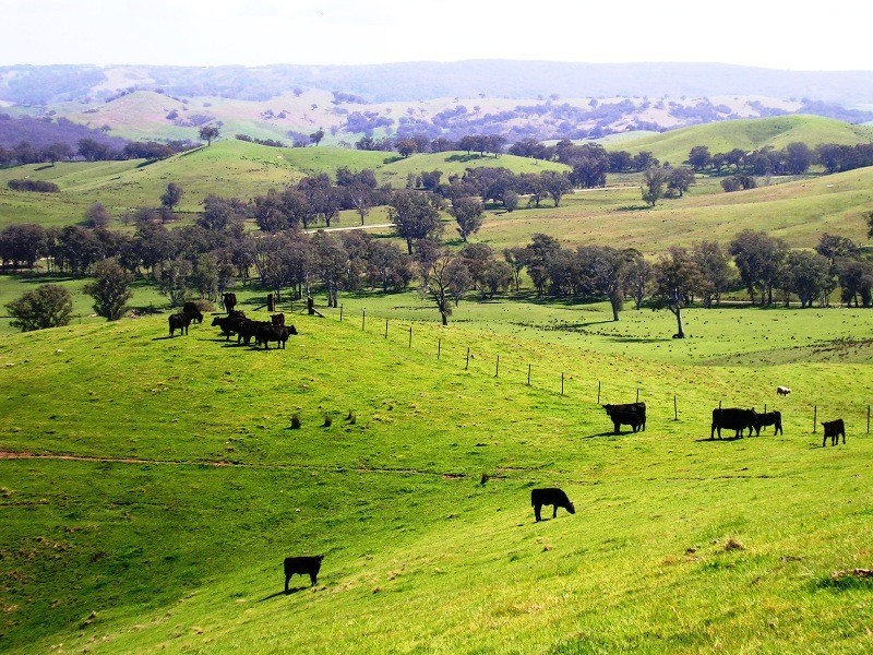 276 Kanumbra – Gobur Rd, Yarck VIC 3719