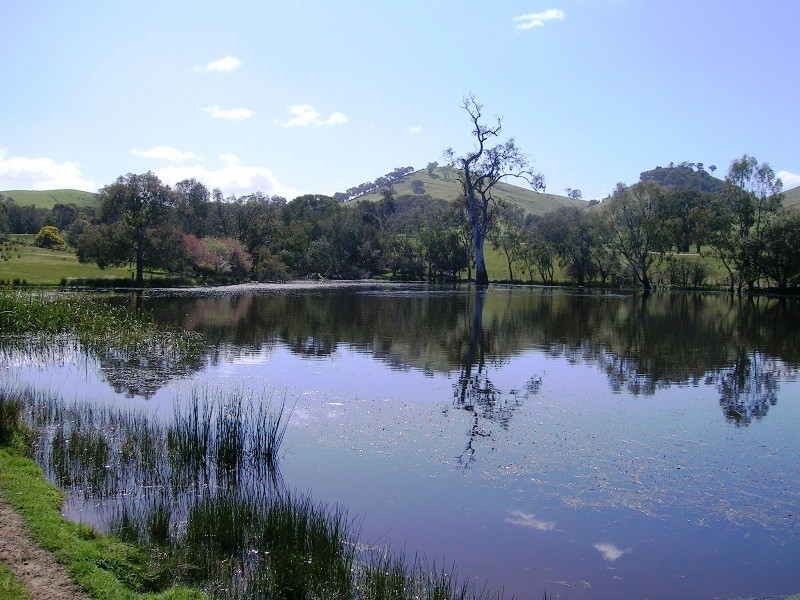 276 Kanumbra – Gobur Rd, Yarck VIC 3719
